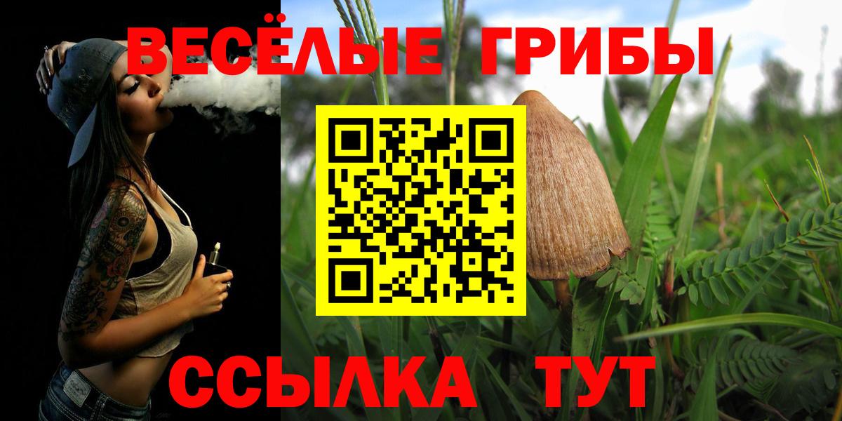 Галлюциногенные грибы MAGIC MUSHROOMS  Вход с VPN  Сальск  Псилоцибиновые грибы MAGIC MUSHROOMS 