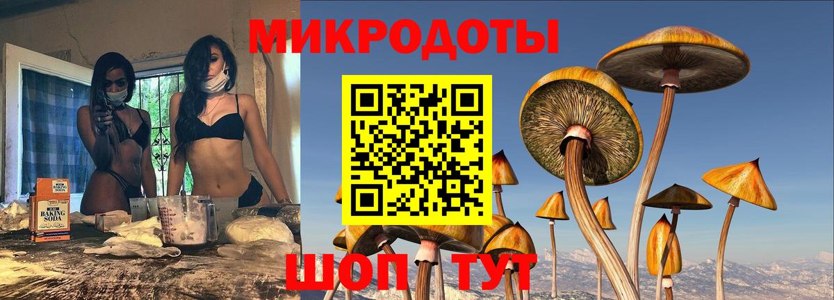 Псилоцибиновые грибы MAGIC MUSHROOMS Сальск